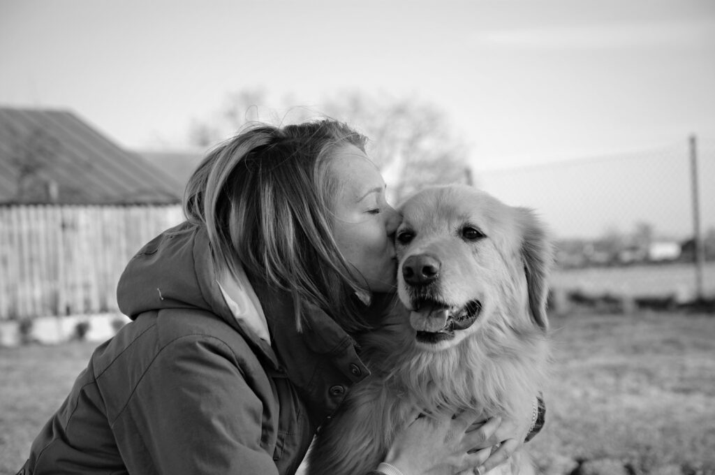 Amor por cães